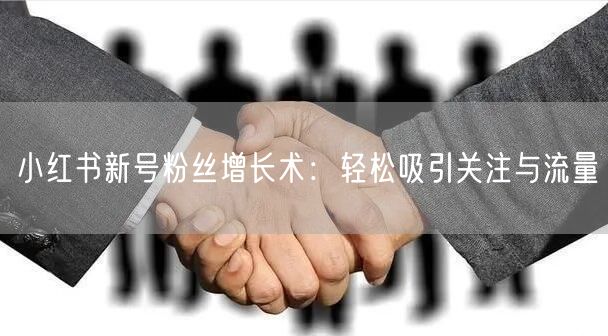 小红书新号粉丝增长术：轻松吸引关注与流量