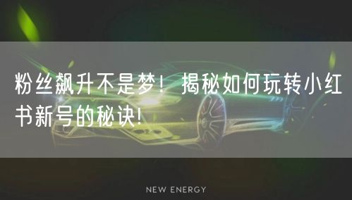 粉丝飙升不是梦！揭秘如何玩转小红书新号的秘诀!