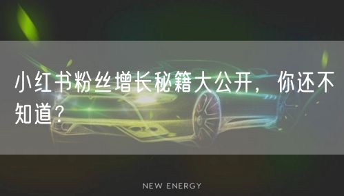 小红书粉丝增长秘籍大公开，你还不知道？