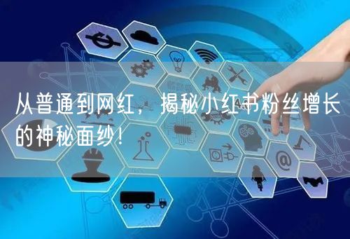 从普通到网红，揭秘小红书粉丝增长的神秘面纱！
