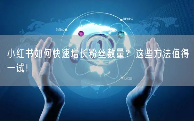 小红书如何快速增长粉丝数量？这些方法值得一试！