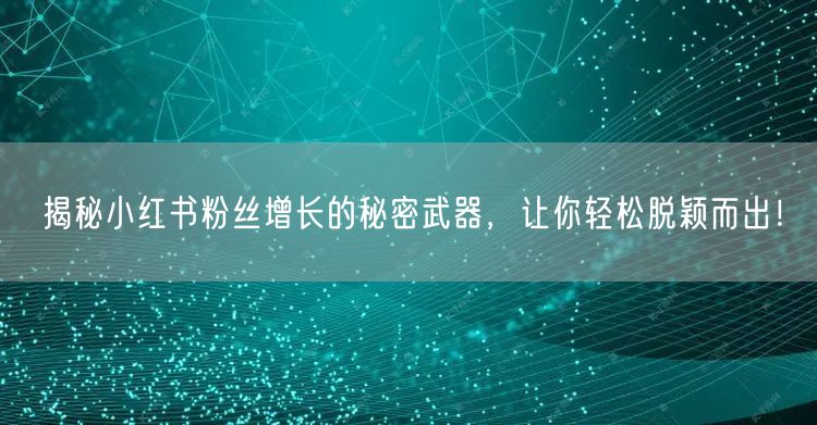揭秘小红书粉丝增长的秘密武器，让你轻松脱颖而出！