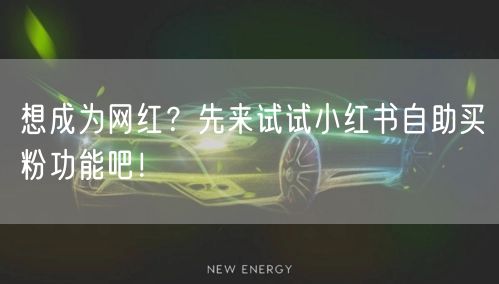 想成为网红？先来试试小红书自助买粉功能吧！