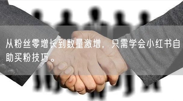 从粉丝零增长到数量激增，只需学会小红书自助买粉技巧。