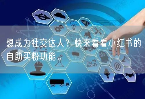 想成为社交达人？快来看看小红书的自助买粉功能。