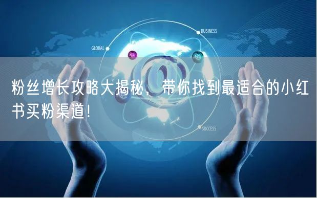 粉丝增长攻略大揭秘，带你找到最适合的小红书买粉渠道！