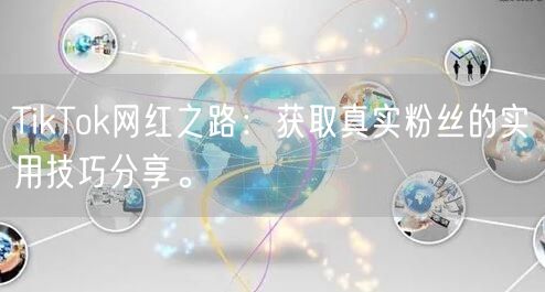 TikTok网红之路：获取真实粉丝的实用技巧分享。
