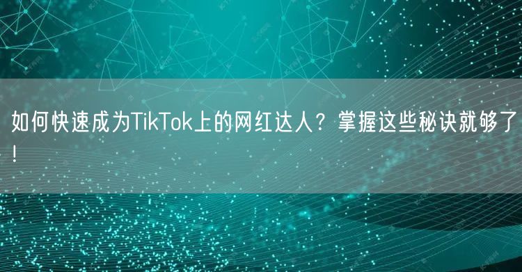 如何快速成为TikTok上的网红达人？掌握这些秘诀就够了！