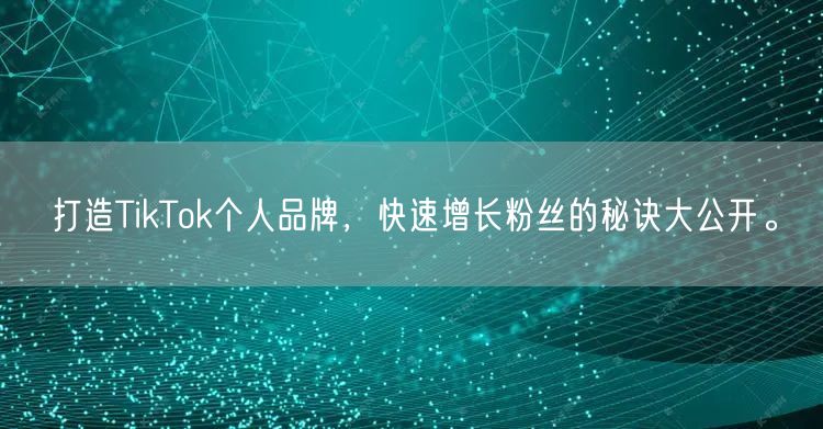 打造TikTok个人品牌，快速增长粉丝的秘诀大公开。
